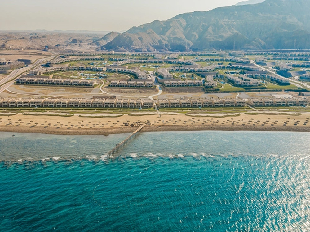 لافيستا 6 gallery image