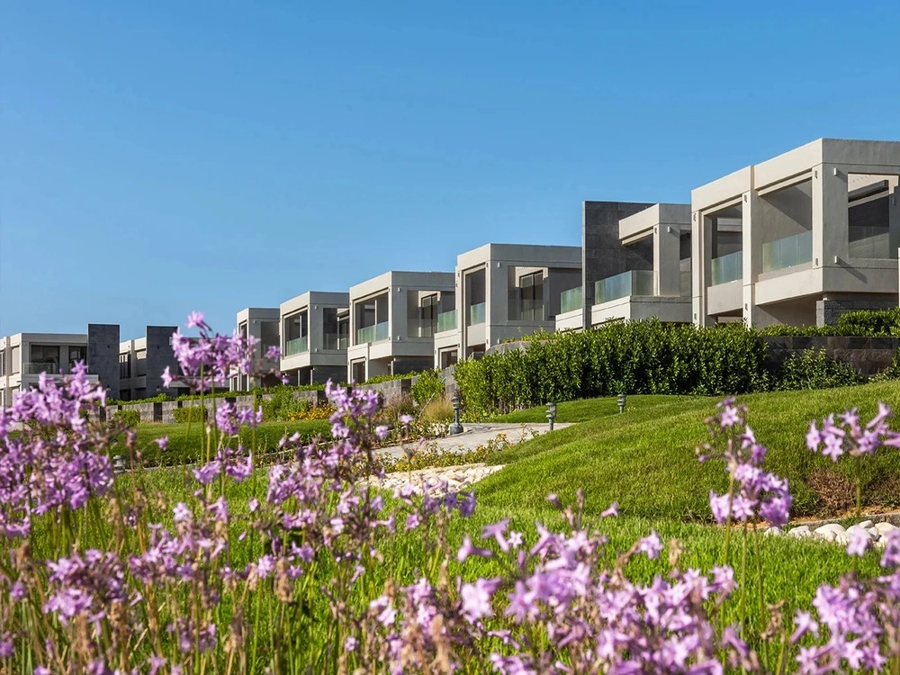 La vista Ras El-Hikma gallery image