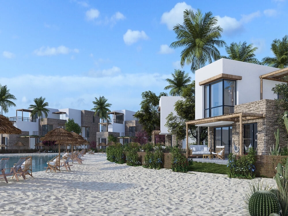 MASAYA gallery image