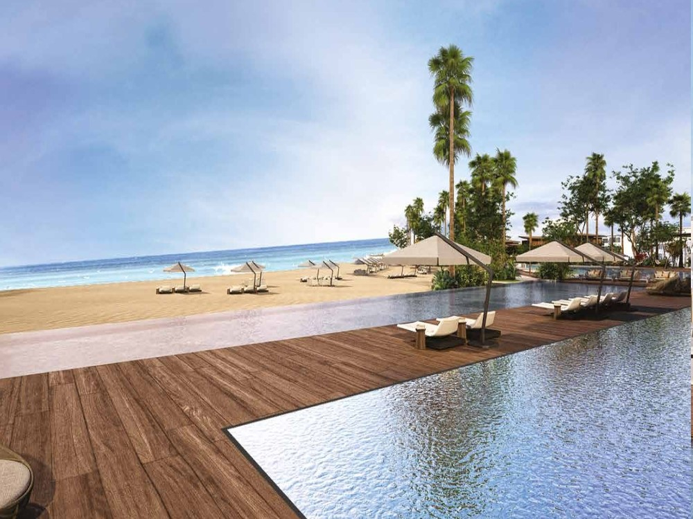 كاي gallery image