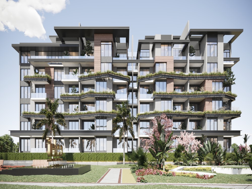 ايلاف gallery image