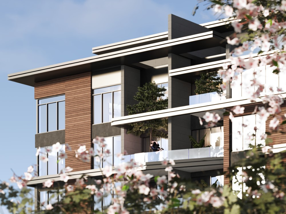 ايلاف gallery image